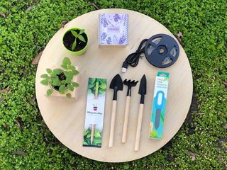 Еко Подарунки для школярів та вчителів (Дніпро)