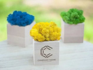 Промо-сувеніри. Кашпо зі стабілізованим мохом (Львов)