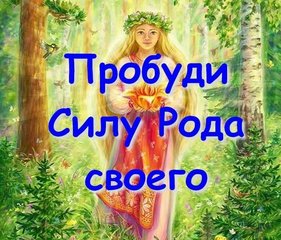 Пробуждение родовой памяти и Силы Рода, восстановление связи с Хранителями и Покровителями Рода, исцеление Древа Рода (Харьков)