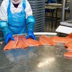 Шоковая заморозка,низькотемпературні камери для переробки риби (Хмельницкий)