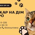 Ветеринарная помощь, вызов ветврача Днепр, Ветеринар вет. услуги (Дніпро)