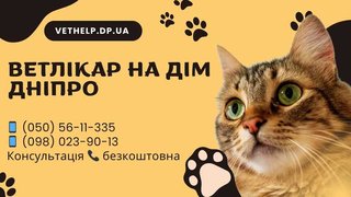Ветеринарная помощь, вызов ветврача Днепр, Ветеринар вет. услуги (Дніпро)