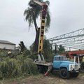 Автовишка Бровари. Оренда автовишки Бровари по району. (Бровары)