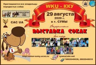 Всеукраинская выставка собак всех пород 2020 (Суми)
