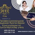 Профессиональный бухгалтер для Вашего бизнеса (Харьков)