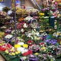 Вітрина для торгівлі квітами (Львів)